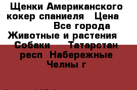 Щенки Американского кокер спаниеля › Цена ­ 15 000 - Все города Животные и растения » Собаки   . Татарстан респ.,Набережные Челны г.